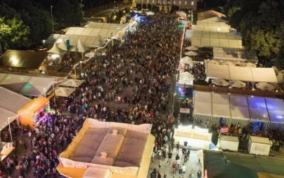 Naumburger Tageblatt: Naumburger Kirschfest – Mehr Sicherheit auf Wiese