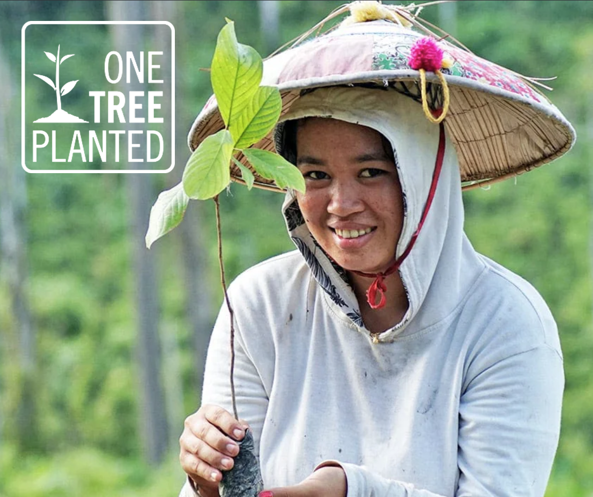 26-02 OneTreePlanted_Logo